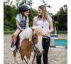 Découverte Equitation Adultes à partir de 11 ans à Montrabé (P0506)