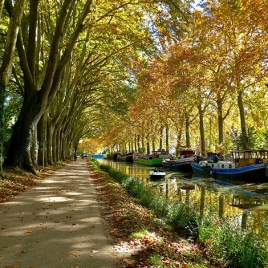 2022 Au bord du canal du midi (P1806)