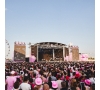ROSE FESTIVAL (CAS71)