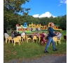 Fête SLVie du Tarn (P1205)