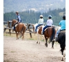 Découverte Equitation Adultes à partir de 11 ans à Montrabé (P0505)