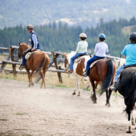 Découverte Equitation Adultes à partir de 11 ans à Montrabé (P0505)