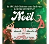 Spectacle de Noel au Zenith CAS17