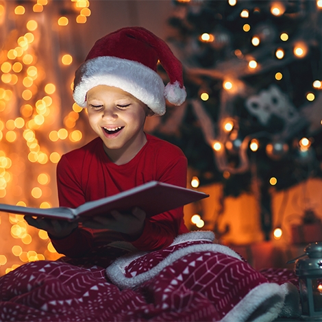 Arbre de Noël du Tarn et Garonne (P1104)
