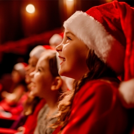 Arbre de Noël du Tarn (P1008)
