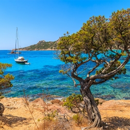 Voyage pensionnés en Corse (P2115)