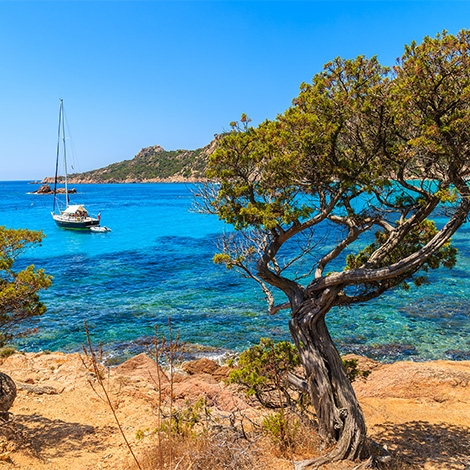 Voyage pensionnés en Corse (P2115)