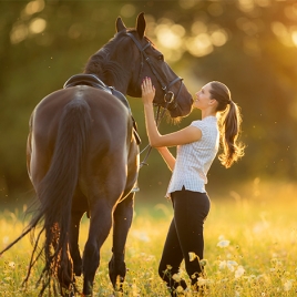 Bienfaits du cheval à Montrabe (P0503)