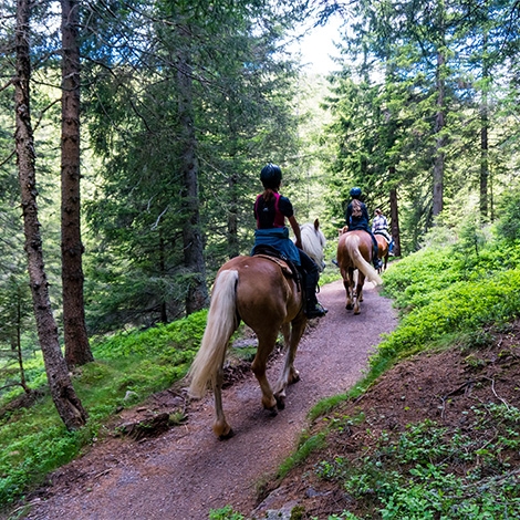Randonnée sportive à cheval à Montrabe (P0504)