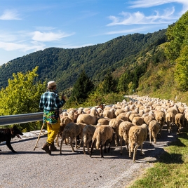 Week-end transhumance dans le Biros et en Bethmale en Couserans (P2206)