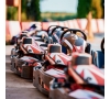 Sortie karting (P1013)