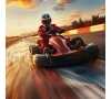 Soirée karting d'été (P2103)