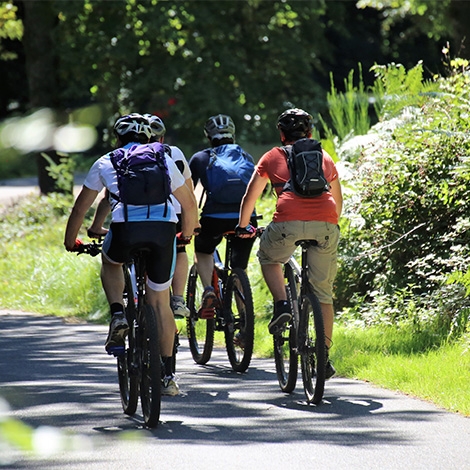 Rando Cyclotourisme dans les vallons et coteaux du Comminges (P2105)