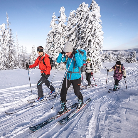 Sortie Ski de fond option initiation Biathlon (P0501)