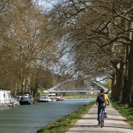 Au bord du canal du midi (P1806)
