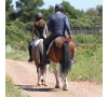 Randonnée à cheval - Bruniquel (P0505)