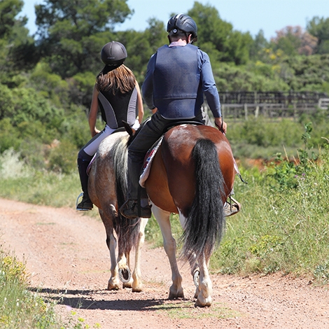 Randonnée à cheval - Bruniquel (P0505)